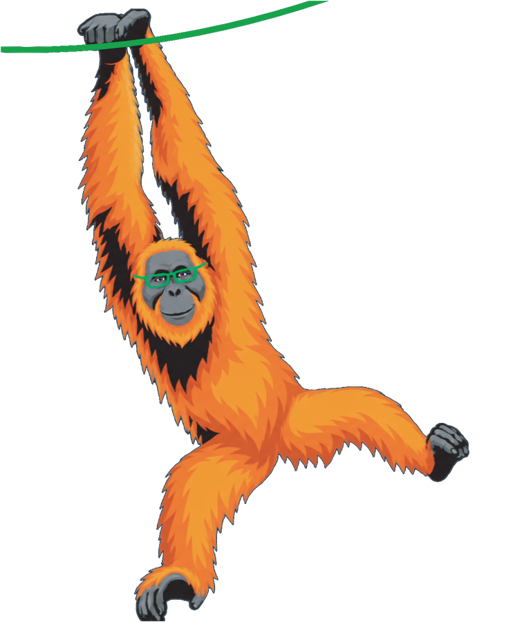 The WynneTech orangutan swinging from a vine